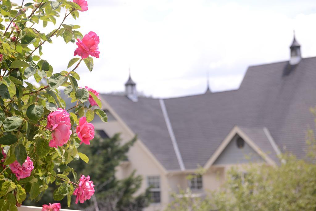 Bed & Breakfast Hounds Tooth 4*