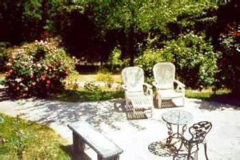 Bed & Breakfast Hounds Tooth